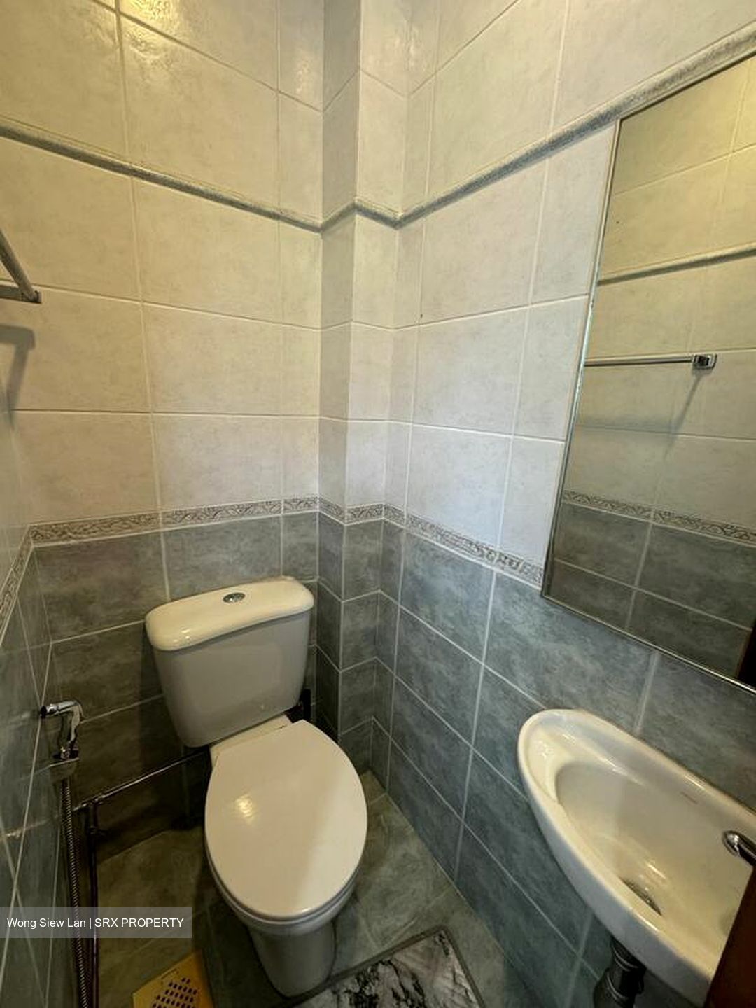 Peppermint Grove (D11), Apartment #507725121